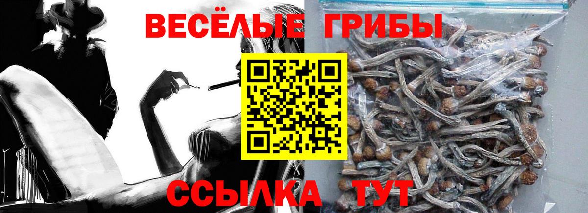 Солнечногорск  Галлюциногенные грибы мухоморы  Галлюциногенные грибы Cubensis  Вход с VPN 